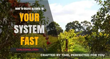 Diluting Alcohol: Quick Ways to Reduce Alcohol in Your System