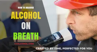 Quick Tips to Mask Alcohol Breath: Effective Strategies for Fresh Confidence