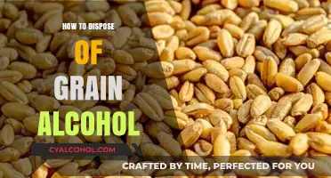 Safe and Responsible Ways to Dispose of Grain Alcohol at Home