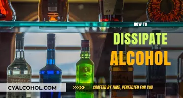 Effective Strategies to Safely Dissipate Alcohol from Your System