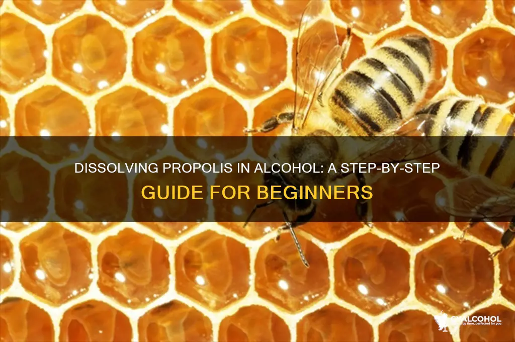how to dissolve propolis in alcohol