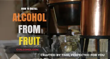 Fruit to Flask: Mastering the Art of Distilling Alcohol at Home