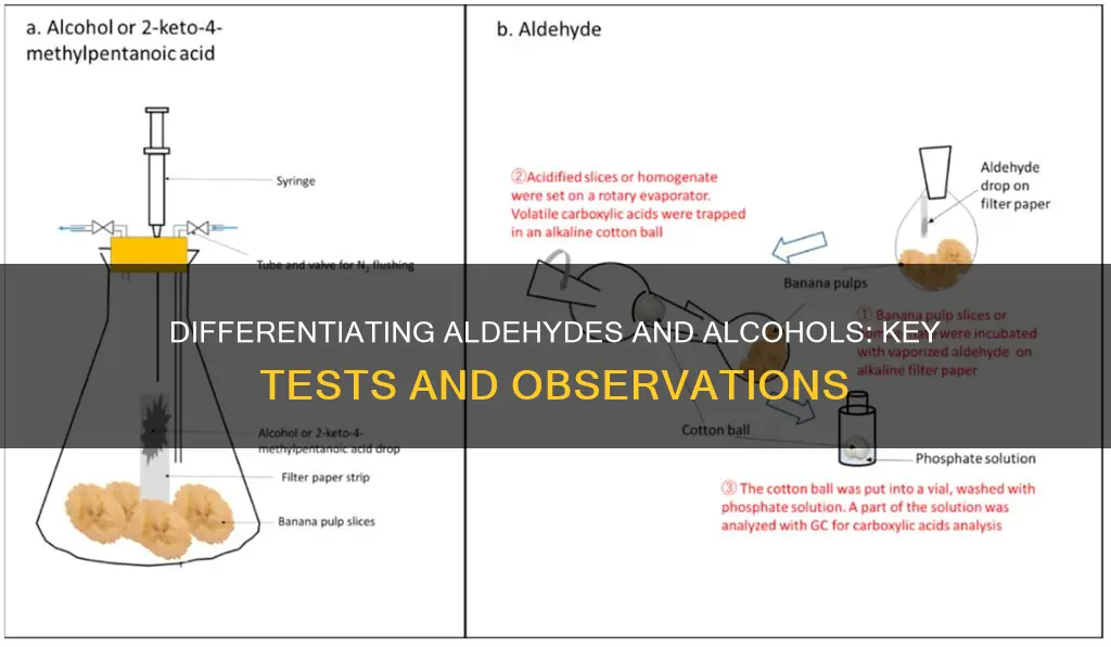 how to distinguish between an aldehyde and an alcohol