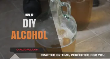 Craft Your Own Spirits: A Beginner’s Guide to DIY Alcohol