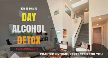 Alcohol-Free in 30 Days: A Detox Guide