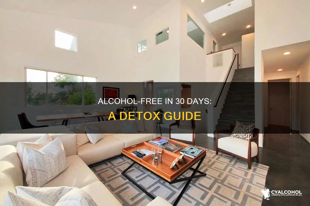how to do a 30 day alcohol detox