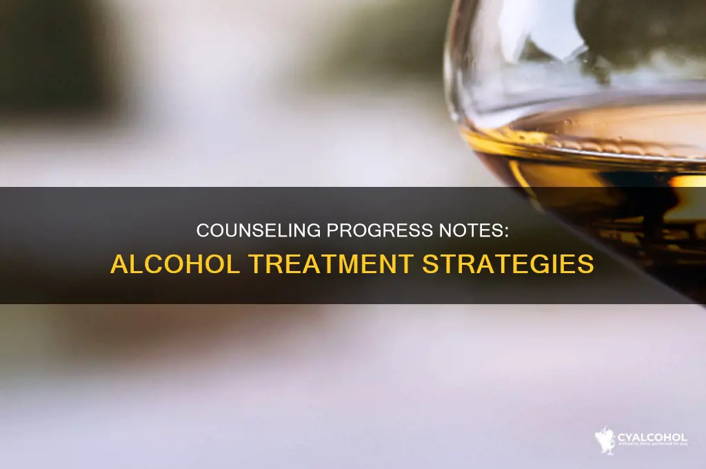 how to do alcohol counseling in progress notes