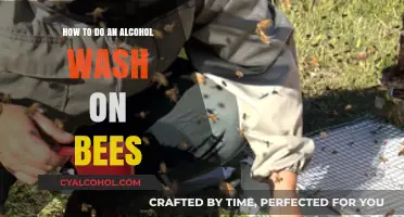 Alcohol Wash on Bees: A Step-by-Step Guide