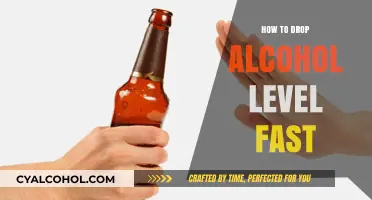 Quick Tips to Rapidly Lower Alcohol Levels in Your System