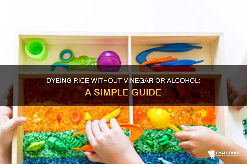how to dye rice without vinegar or alcohol