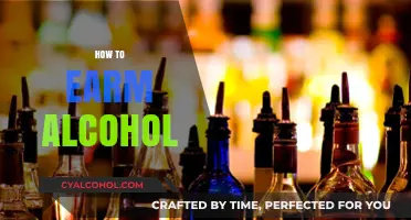 Mastering the Art of Alcohol Earnings: A Comprehensive Guide
