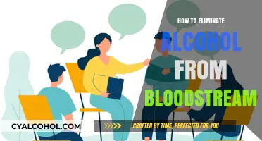 Effective Ways to Remove Alcohol from Your Bloodstream Quickly and Safely