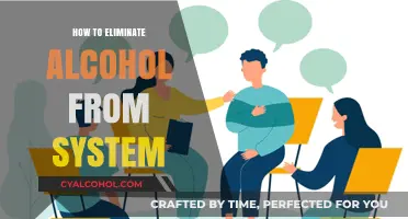 Effective Ways to Detox and Remove Alcohol from Your Body Fast