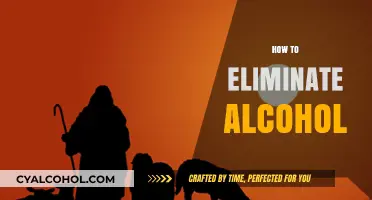 Effective Strategies to Quit Drinking Alcohol and Regain Control