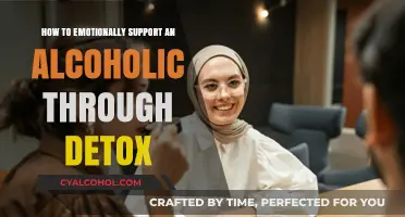 Emotional Support Strategies for an Alcoholic's Detox Journey