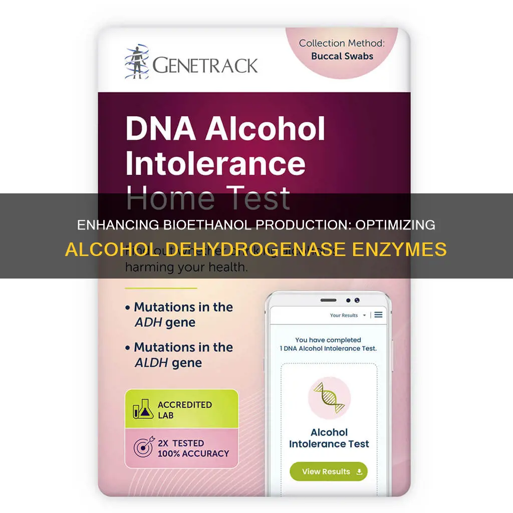 how to enhance production of alcohol dehydrogenase for bio ethanol