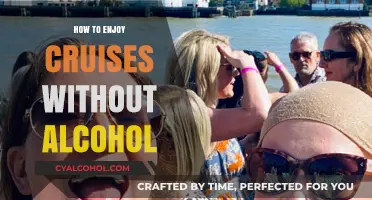 Sober Seas: Tips for Enjoying Alcohol-Free Cruise Adventures