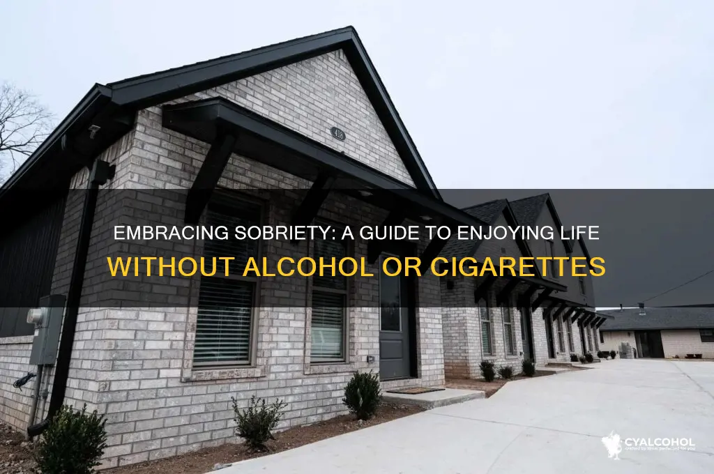 how to enjoy life without alcohol and cigarettes