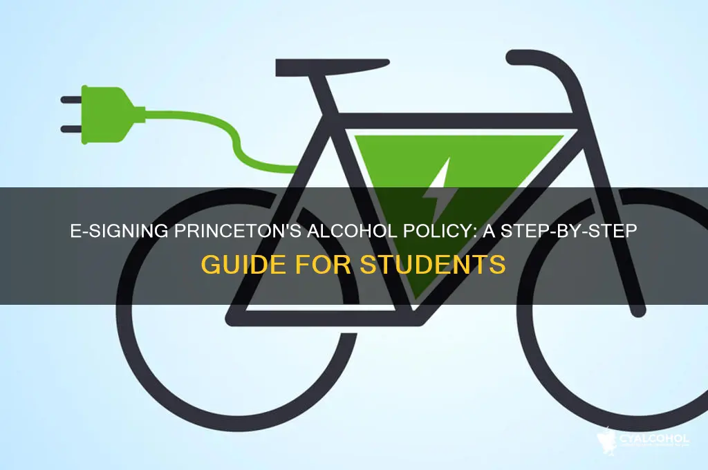 how to esign princeton alcohol policy