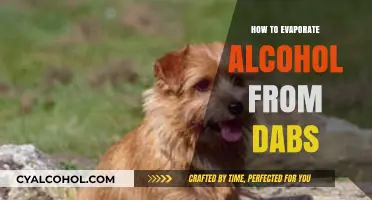 Efficiently Removing Alcohol from Dabs: A Step-by-Step Evaporation Guide