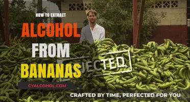 DIY Banana Alcohol Extraction: Simple Steps for Homemade Fermentation