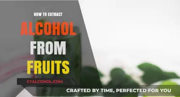 Fruit to Flask: Mastering Alcohol Extraction from Fresh Fruits