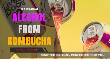 Extracting Alcohol from Kombucha: Simple Techniques for Higher ABV