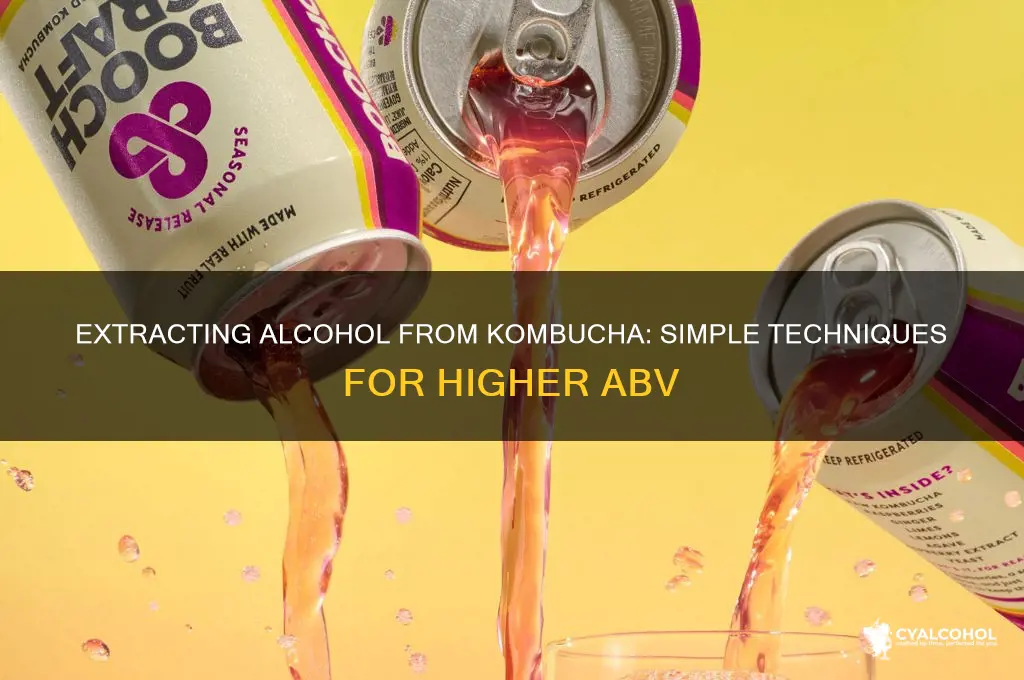 how to extract alcohol from kombucha