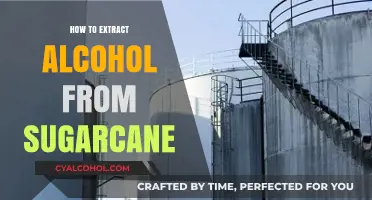 Extracting Alcohol from Sugarcane: A Step-by-Step Fermentation Guide