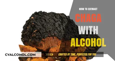 Mastering Chaga Extraction: Alcohol-Based Methods for Optimal Results