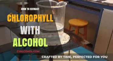 Extracting Chlorophyll with Alcohol: A Simple DIY Guide