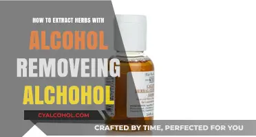Herbal Extracts: Alcohol-Free Infusion Techniques