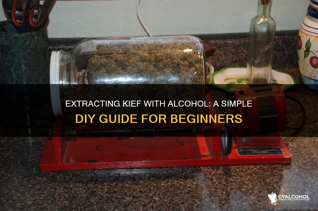 how to extract kief with alcohol