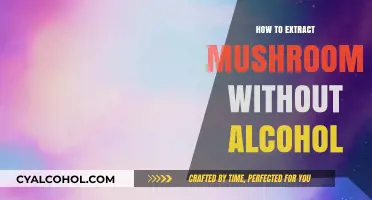Alcohol-Free Mushroom Extraction: A Simple, Effective, and Healthy Method