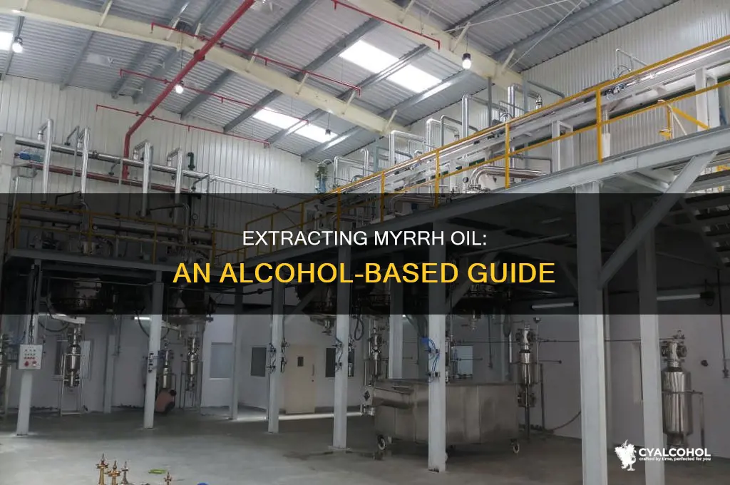 how to extract oil from myrrh resin alcohol