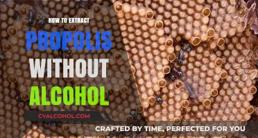Extracting Propolis Without Alcohol: A Simple, Natural Method Guide