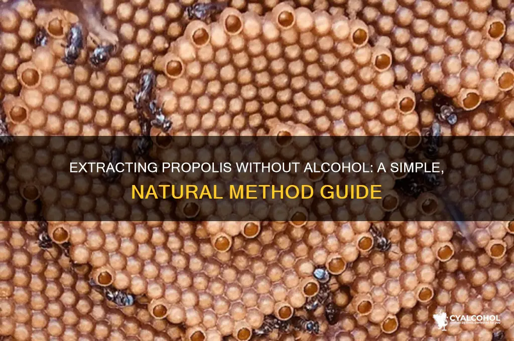 how to extract propolis without alcohol