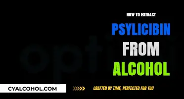 Extracting Psilocybin from Alcohol: A Comprehensive Step-by-Step Guide