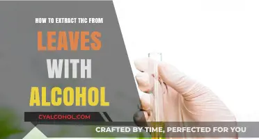 Extracting THC from Leaves: Alcohol-Based Methods