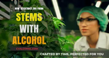 Extracting THC from Stems: Alcohol-Based Methods