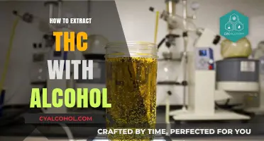 Extracting THC with Alcohol: A Comprehensive Guide for Beginners