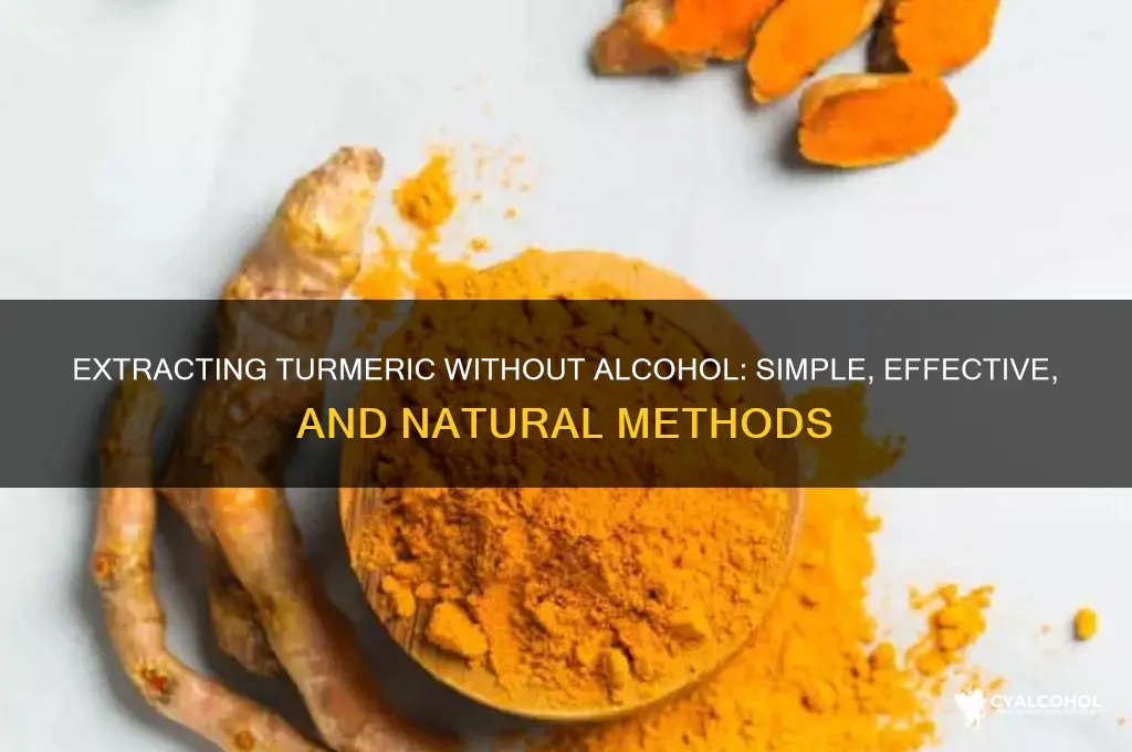 how to extract turmeric without alcohol