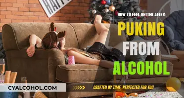 Hangover Hacks: Quick Fixes After Alcohol-Induced Vomiting