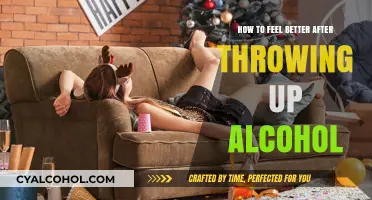 Hangover Hacks: Quick Fixes After Alcohol-Induced Vomiting