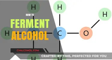 Mastering the Art of Alcohol Fermentation: A Step-by-Step Guide