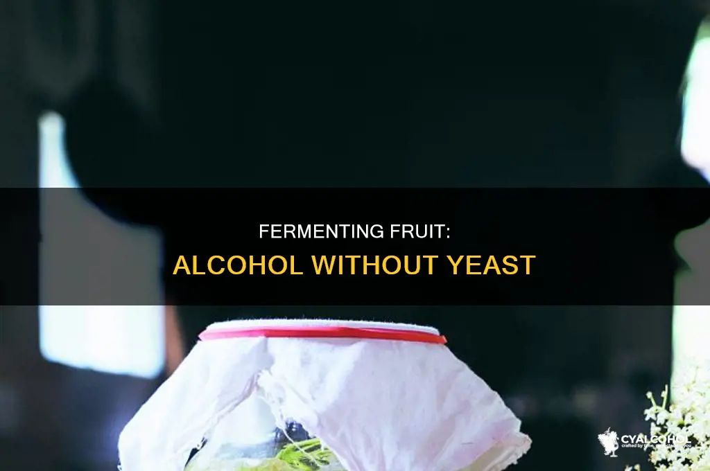 how to ferment fruit into alcohol without yeast