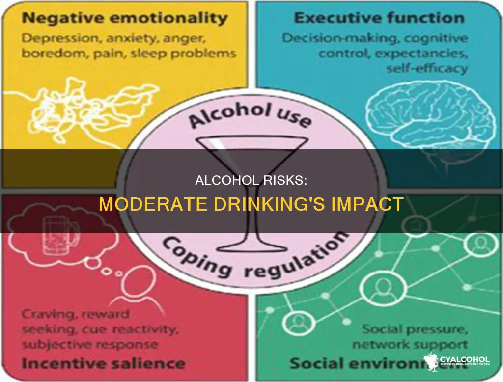 how to figure out if moderate alcohol is risky