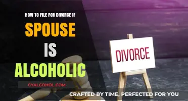 Filing for Divorce: When Your Spouse is an Alcoholic