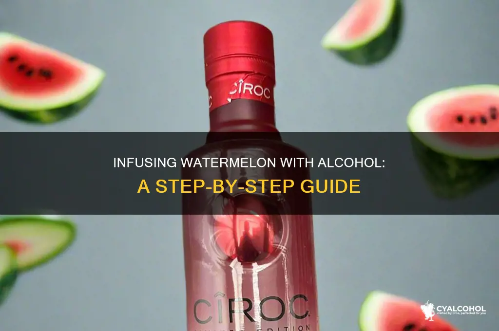 how to fill a whole watermelon with alcohol