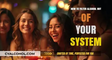Strategies to Flush Alcohol from Your System